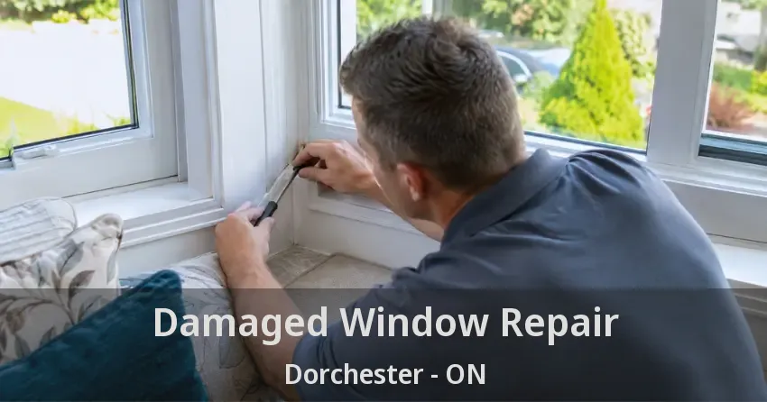 Damaged Window Repair Dorchester - ON